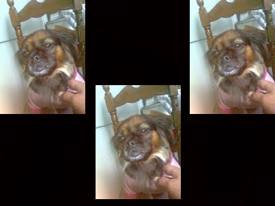 Βοηθήστε να βρεθεί